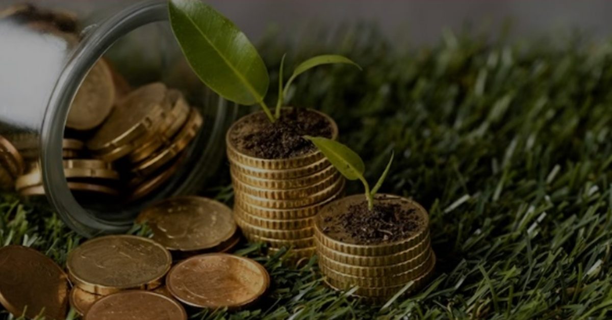 Quem decide o que é ESG e como tornar os investimentos mais ecológicos?