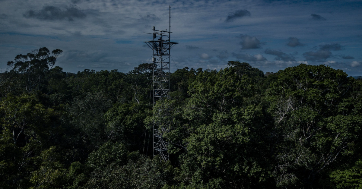 Torre programa AmazonFACE e Mudanças Climáticas na Região Amazônica instalada na Floresta Amazônica, Amazonas, Brasil