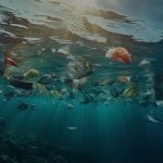 Poluição nos oceanos