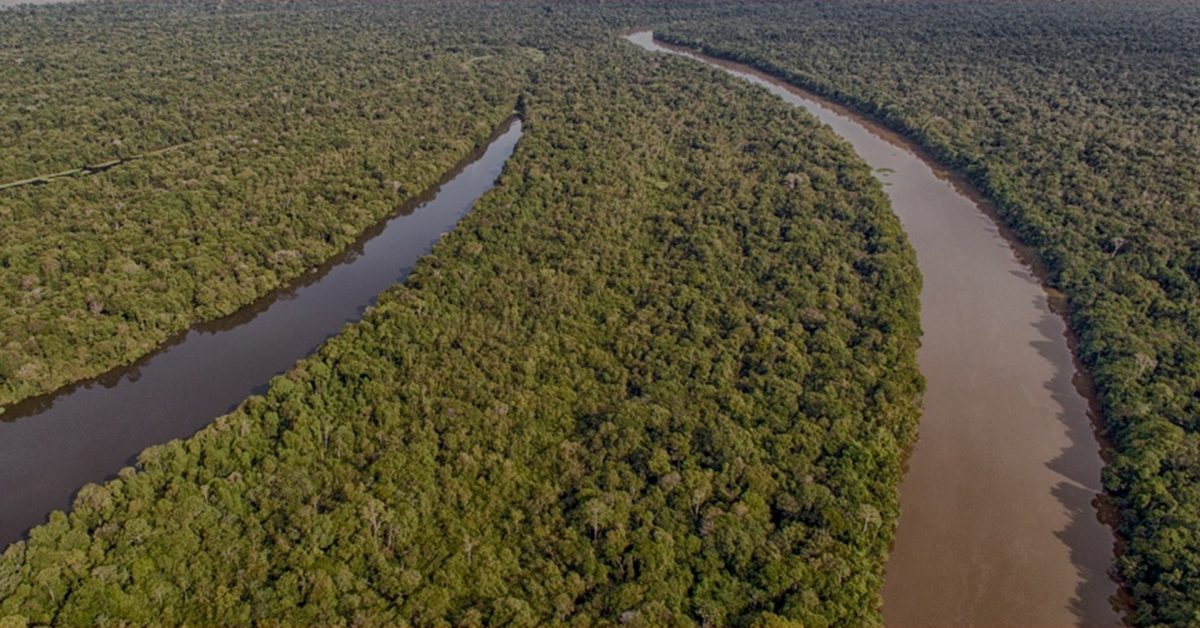 Vista aérea da Floresta Amazônica