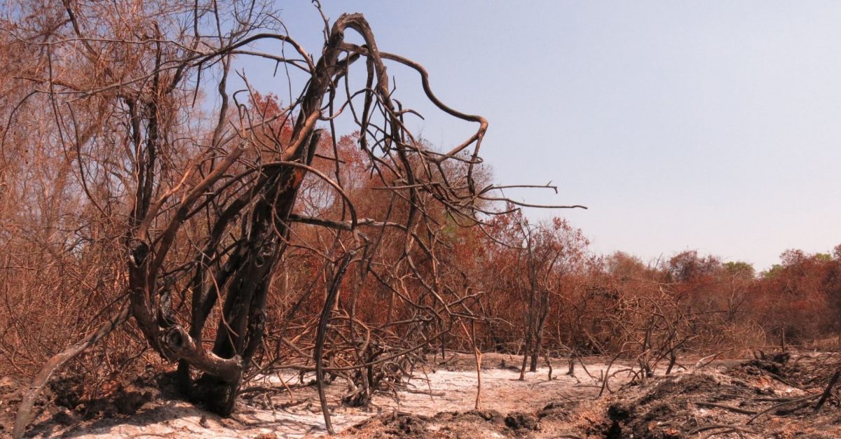 Incêndio no Pantanal brasileiro