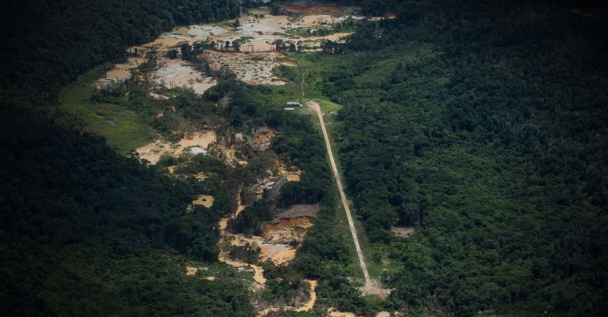 Pista de pouso em área de garimpo ilegal na Terra Indígena Yanomami, em Roraima