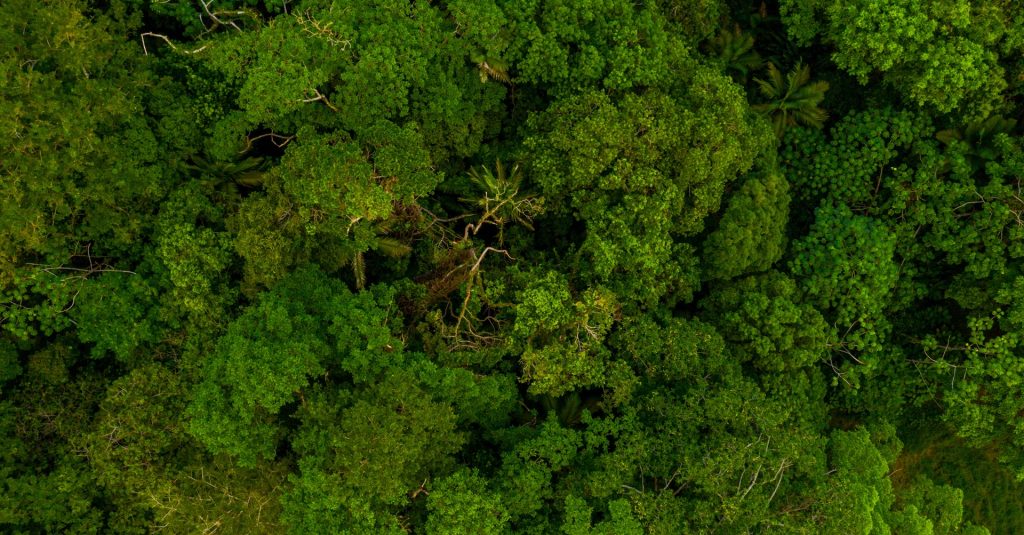 Vista aérea da Amazônia