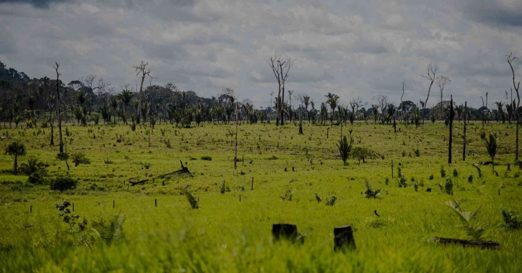 Área de desmatamento na Amazônia