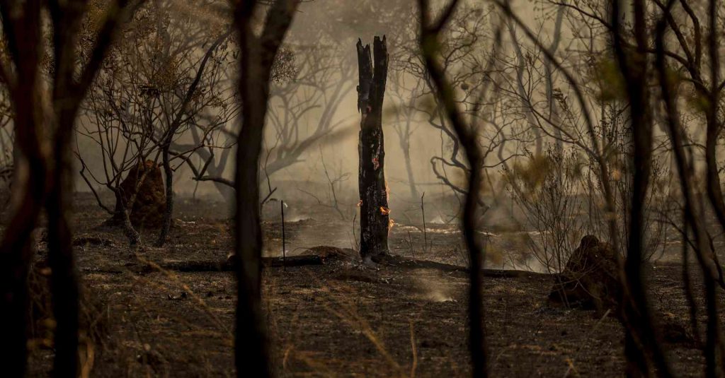 Incêndio na região do Cerrado perto de Brasília