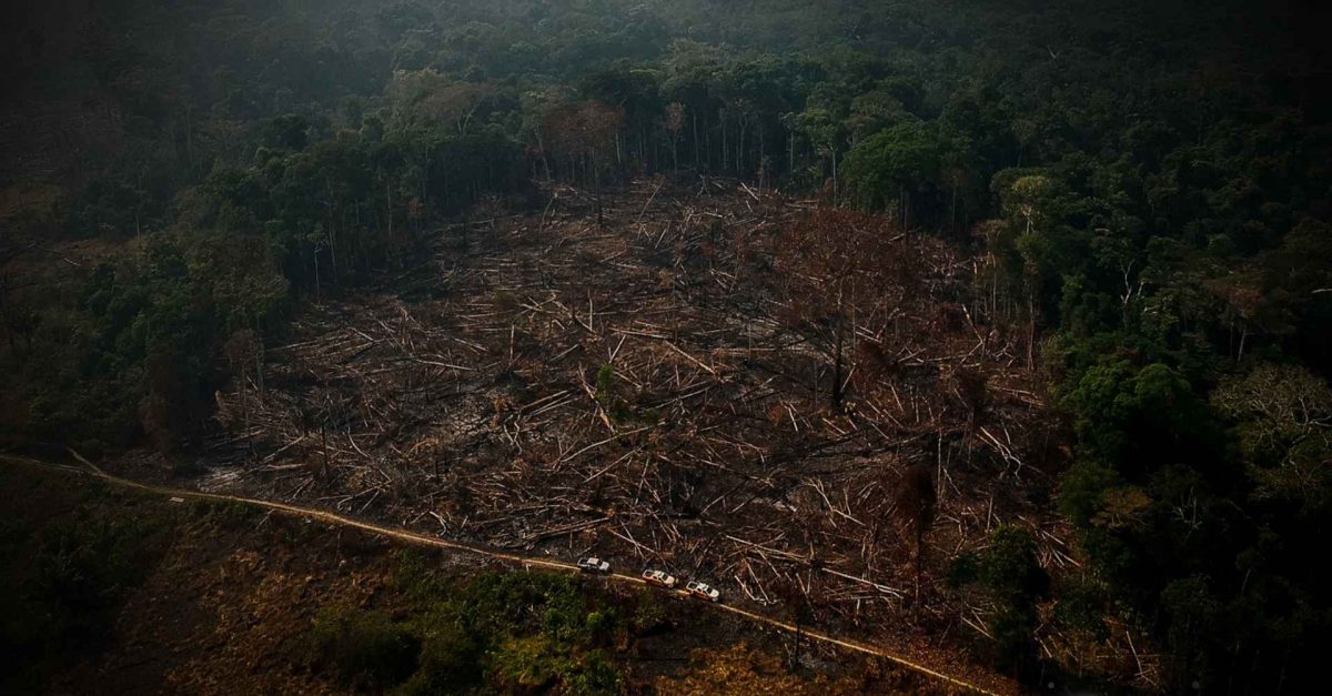 Área de floresta derrubada e queimada e vista na zona rural do município de Apuí, Amazonas