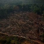 Área de floresta derrubada e queimada e vista na zona rural do município de Apuí, Amazonas