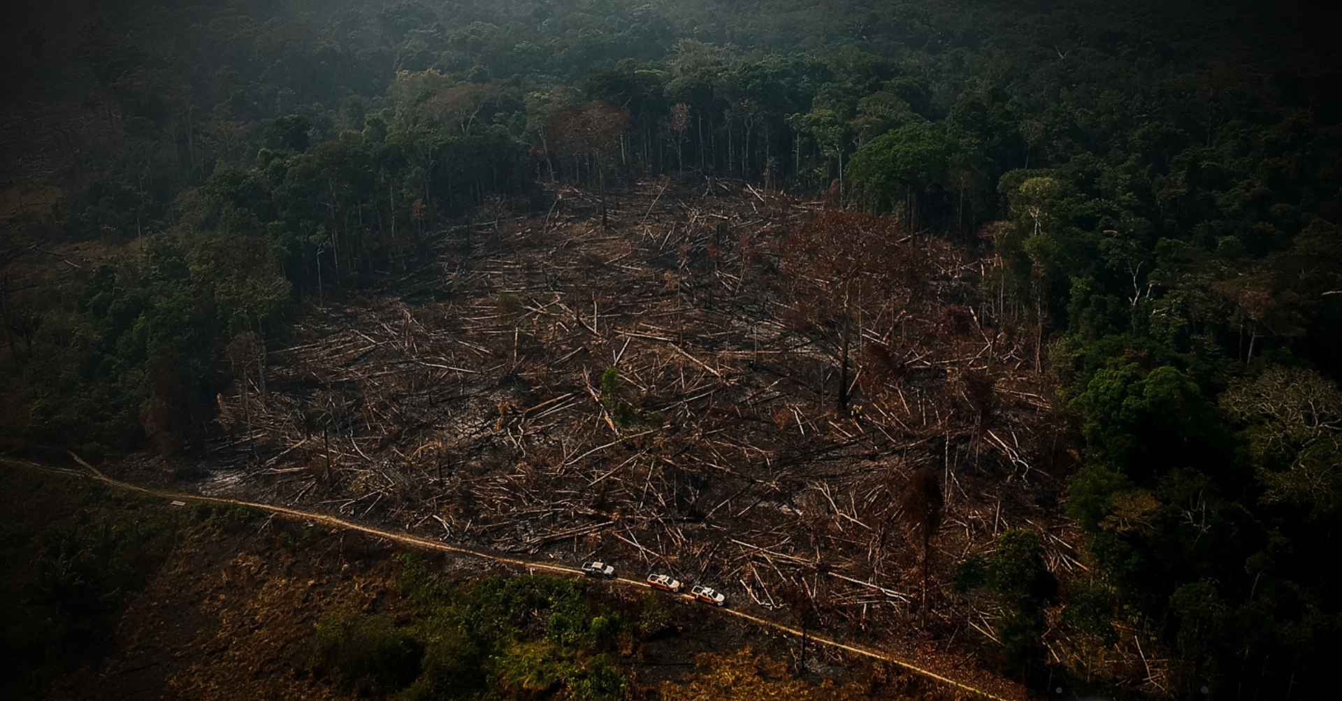 Perda da cobertura natural deixa Brasil mais vulnerável à crise climática