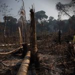 Área de floresta derrubada e queimada e vista na zona rural do município de Apuí, Amazonas