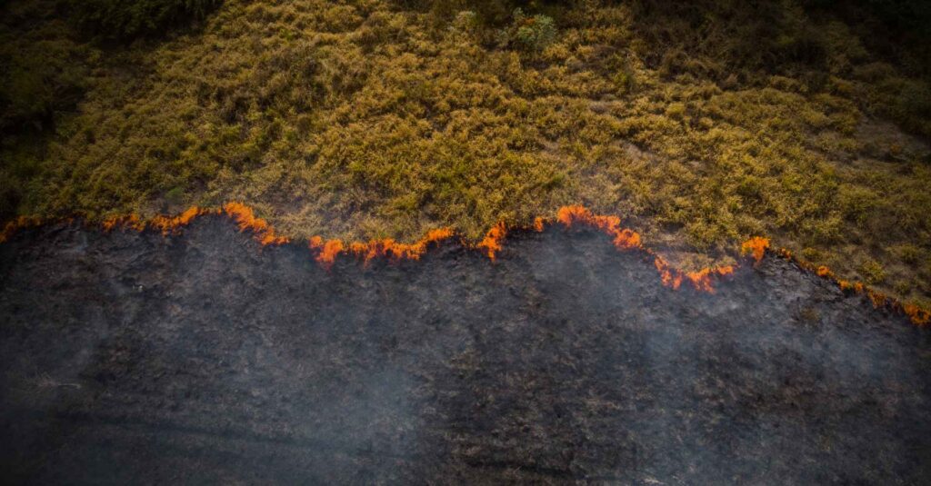 Área queimada em território brasileiro