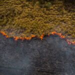 Área queimada em território brasileiro