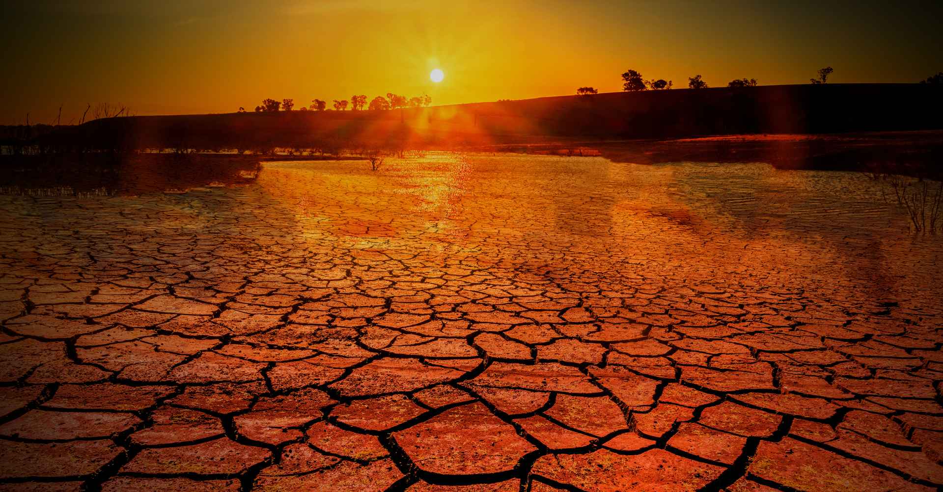 Planeta está ficando sem tempo para evitar impactos da crise ambiental