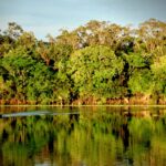 Amazônia, Rio Urubu