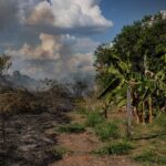 Floresta queimada no Acre, um dos epicentros do desmatamento na Amazônia