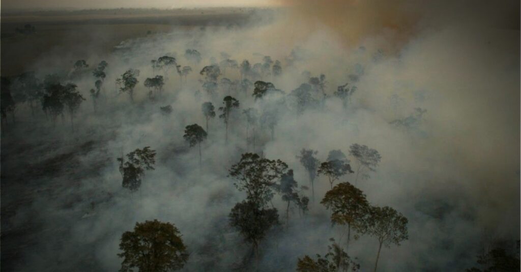 A mitigação atua diretamente sobre as causas do aquecimento global e a adaptação atua sobre os efeitos já observados ou inevitáveis das mudanças climáticas