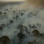 A mitigação atua diretamente sobre as causas do aquecimento global e a adaptação atua sobre os efeitos já observados ou inevitáveis das mudanças climáticas