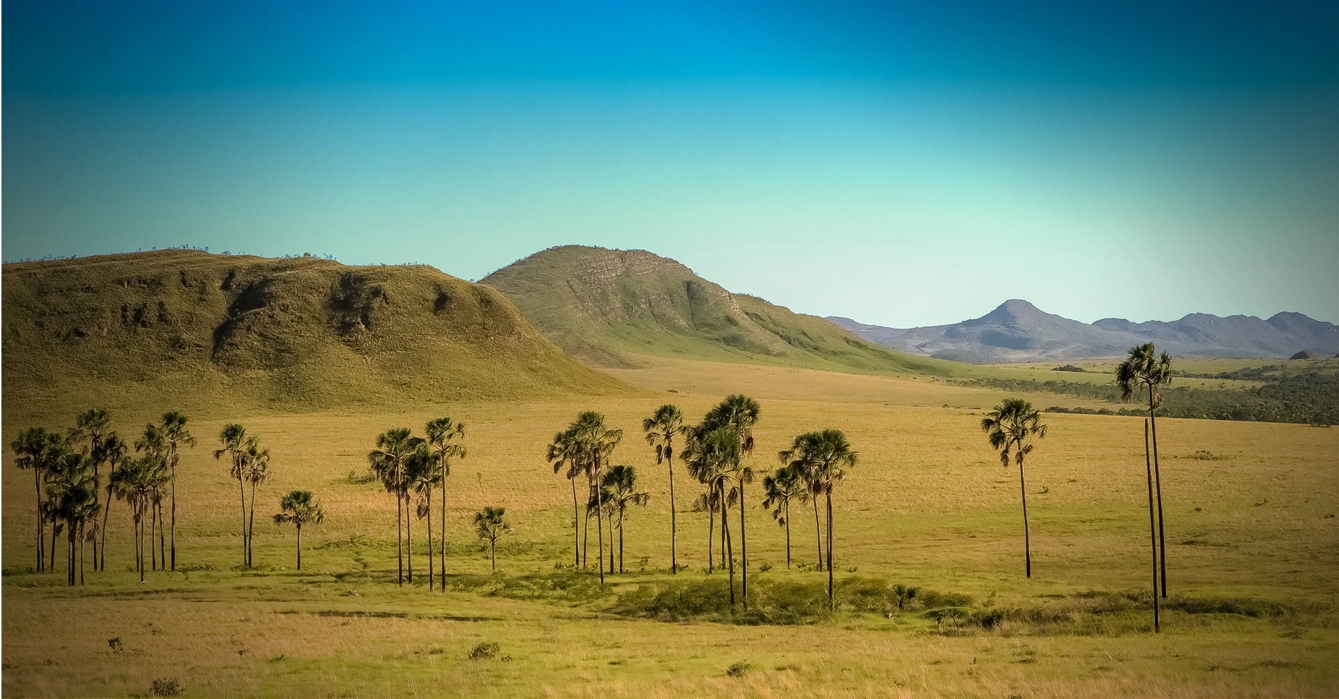 Cerrado expõe fragilidades da política de conservação no Brasil